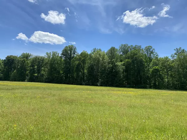 Linden, TN 37096,0 Lick Creek Rd