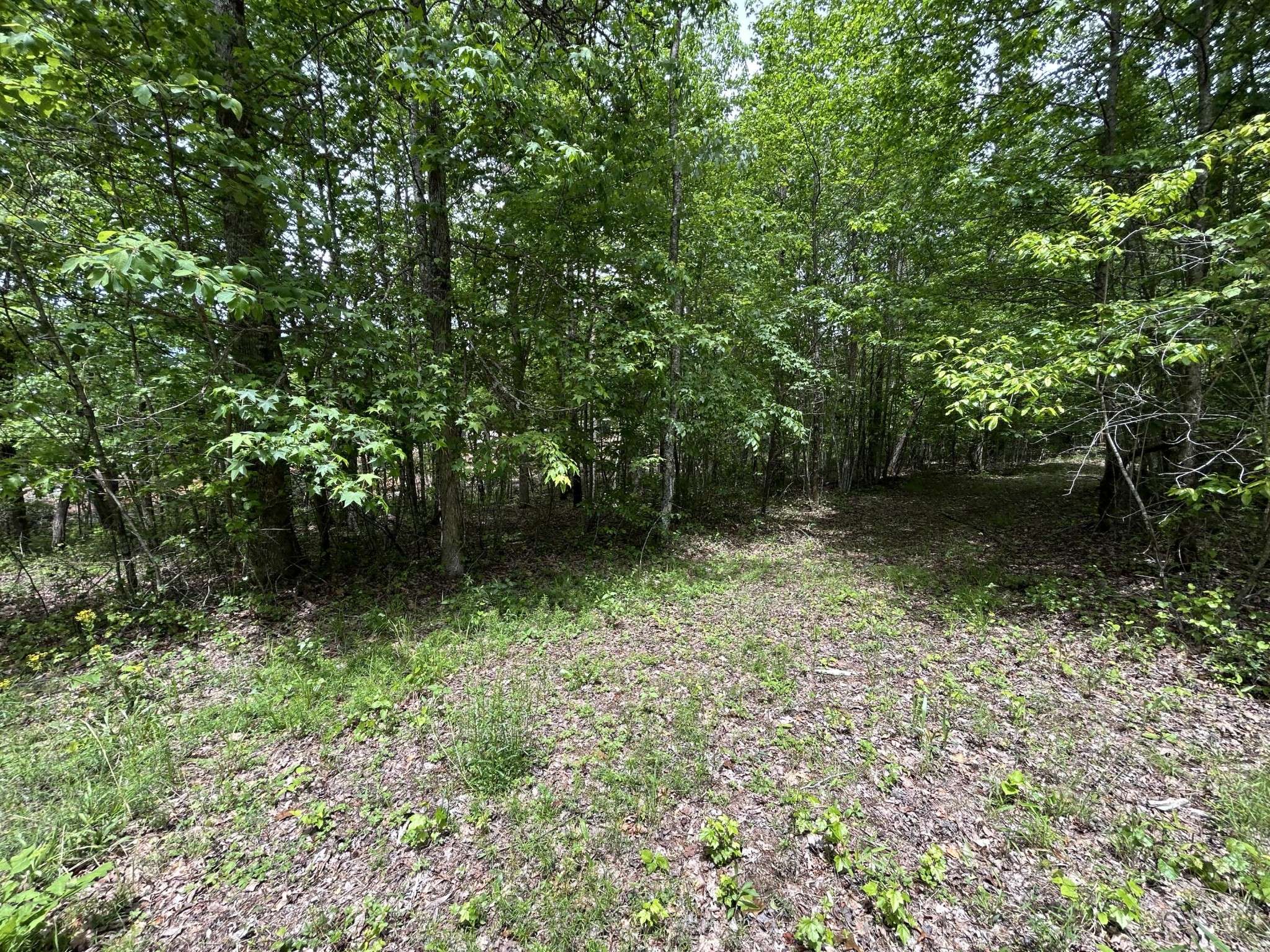 Jasper, TN 37347,2795 Raulston Falls Road