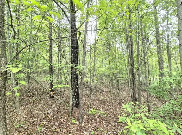 Jasper, TN 37347,6070 Raulston Falls Road