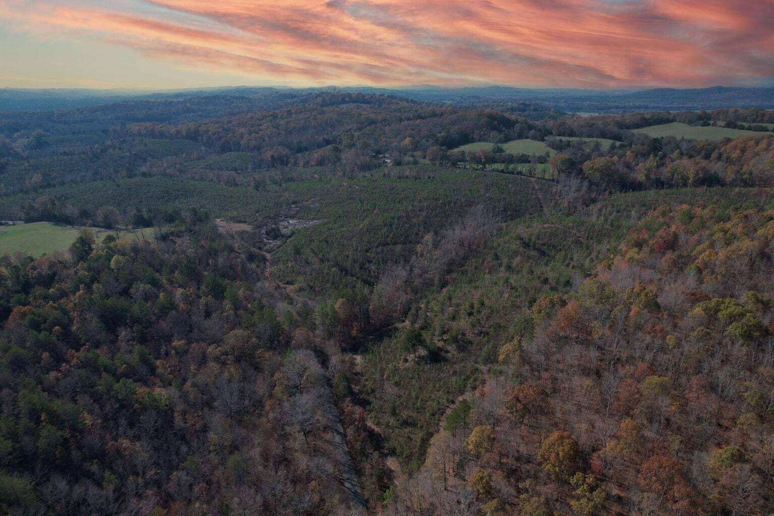 Decatur, TN 37322,0 Big Sewee Lot 5 Road