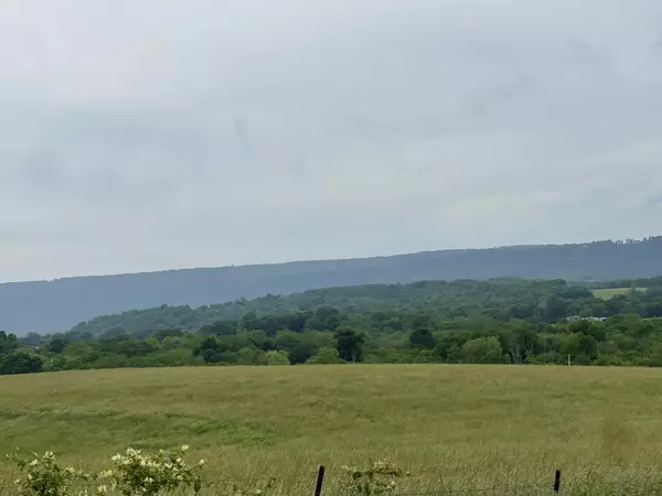 Pikeville, TN 37367,496 Aultville Trail