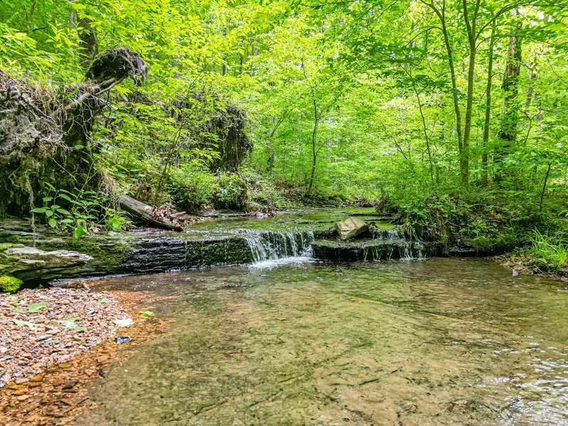 5568 Parker Branch Road, Franklin, TN 37064