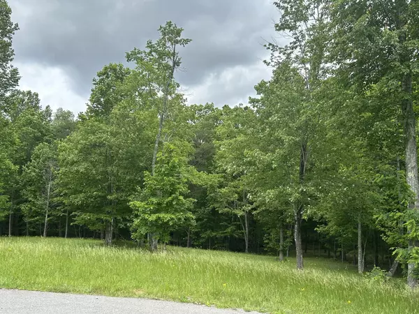 Jasper, TN 37347,284 Jasper Creek Court