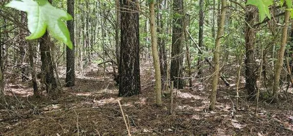Spencer, TN 38585,0 Sunset Rd