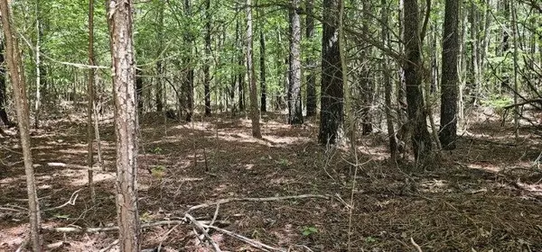 0 Sunset Rd, Spencer, TN 38585
