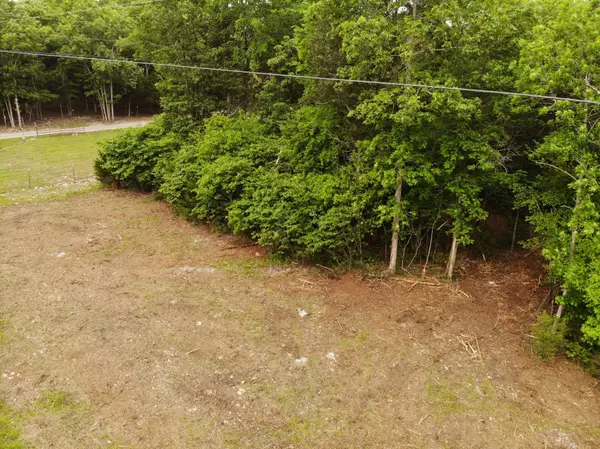 Rockvale, TN 37153,0 Morgan Road