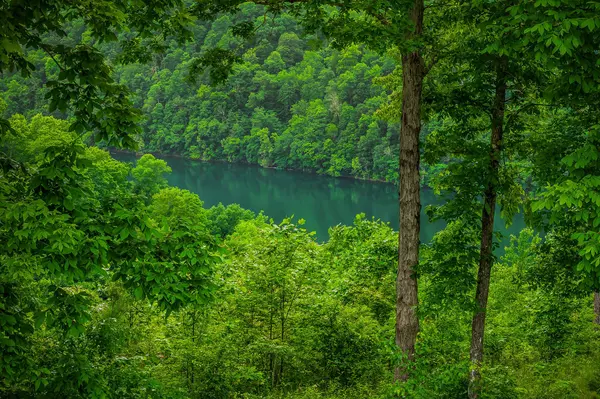 Sparta, TN 38583,0 W Hutchins Bend Rd