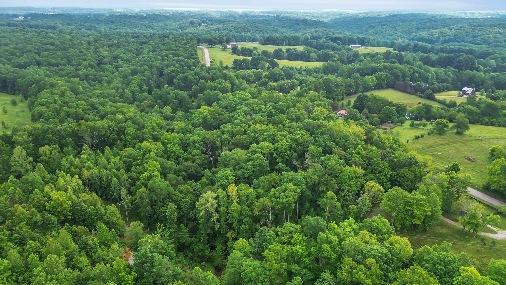 Primm Springs, TN 38476,1 Shoals Branch Rd