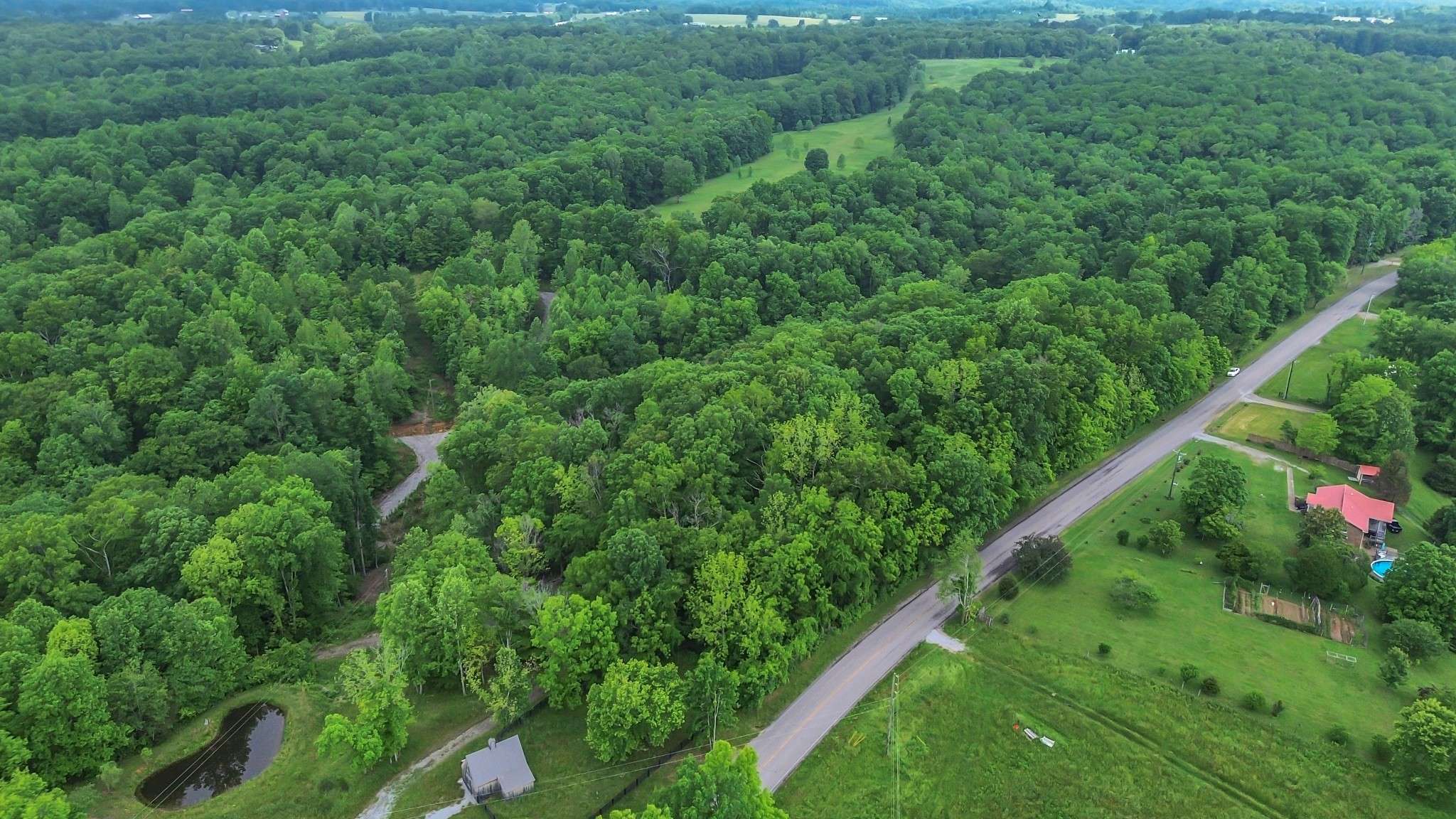 Primm Springs, TN 38476,1 Shoals Branch Rd