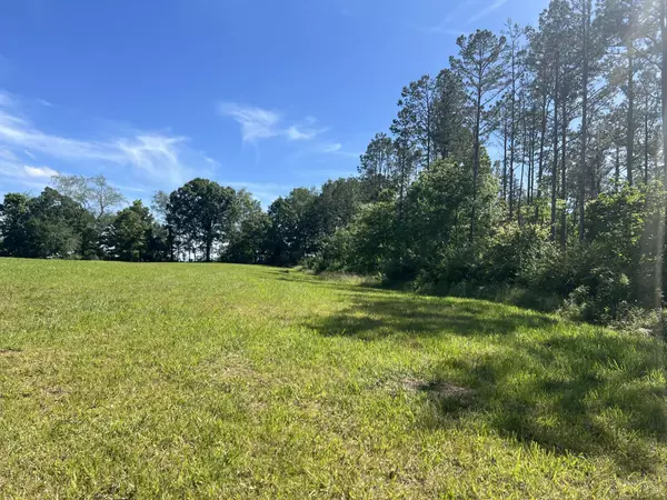 Summertown, TN 38483,127 Pinewood Lane