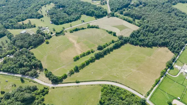 Primm Springs, TN 38476,0 W Lick Creek Rd