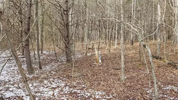 Spencer, TN 38585,151 Indian Trail Drive