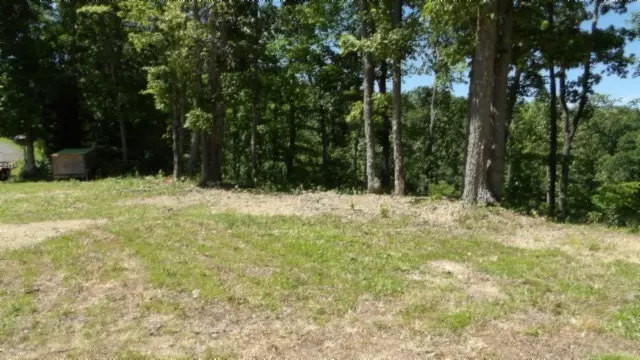 Celina, TN 38551,46 Billy Westmoreland Rd