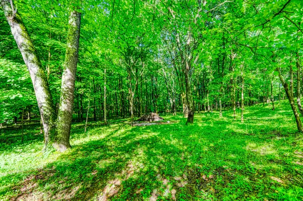 Cottontown, TN 37048,358 Spring Valley Dr