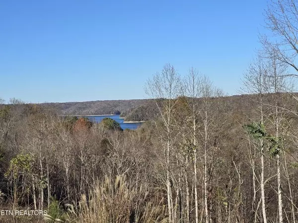 Byrdstown, TN 38549,0 Stoney Point Rd