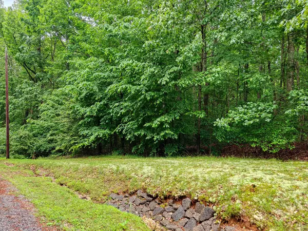 Springville, TN 38256,0 Summerwood Dr