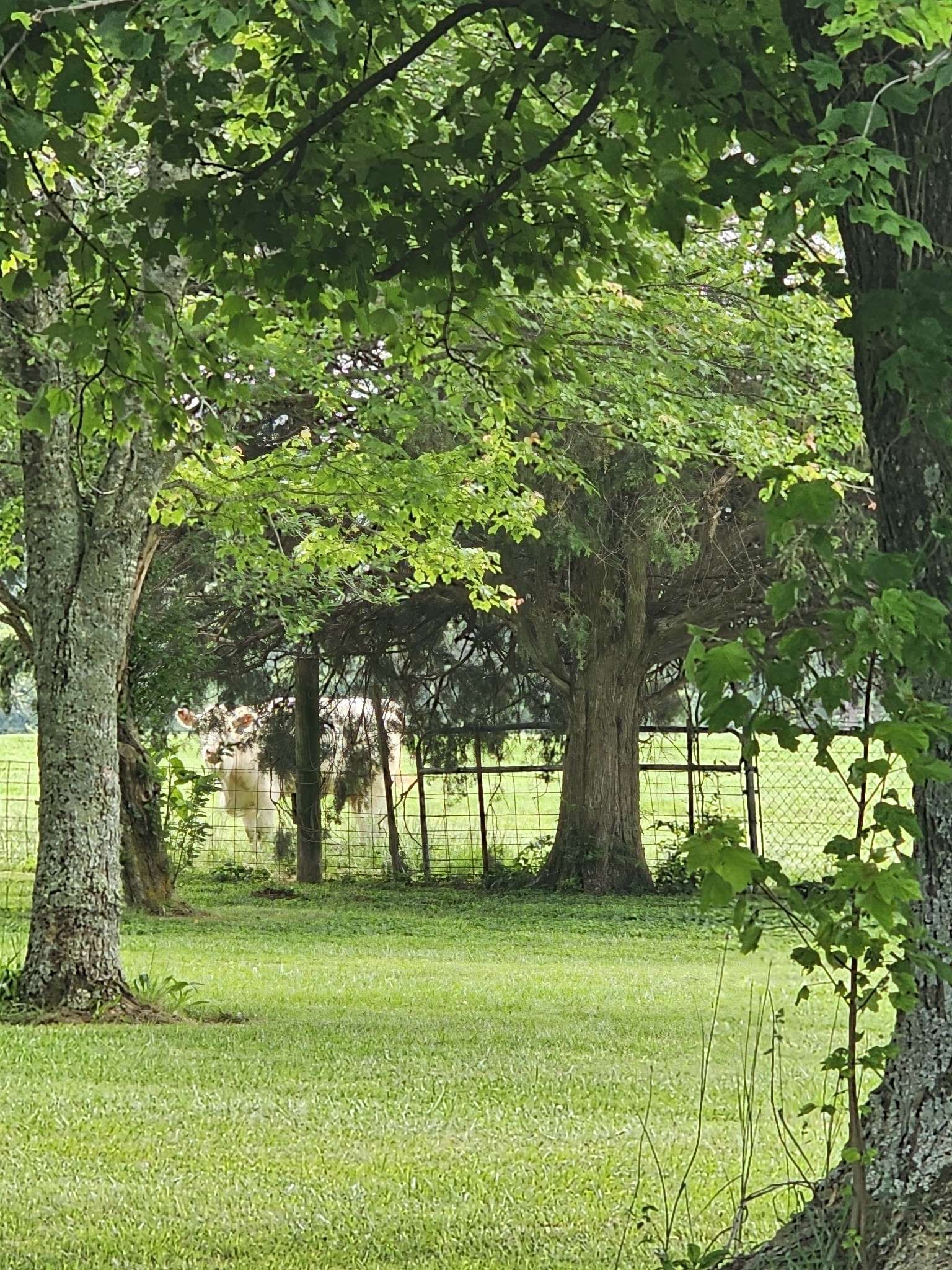 Winchester, TN 37398,101 Farris Rd