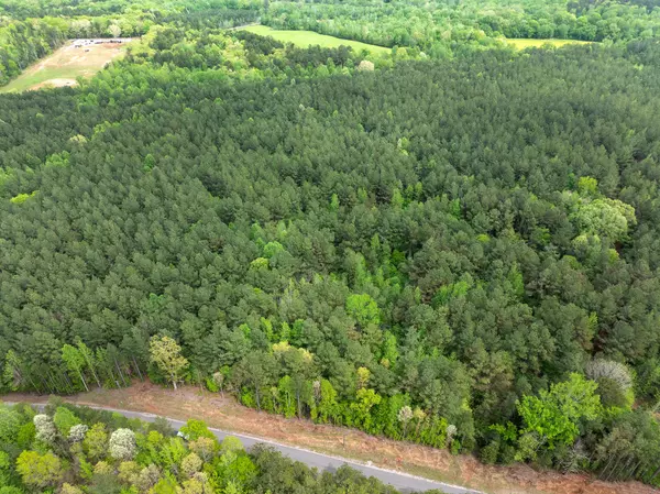 Bethel Springs, TN 38315,0 Curtis Hill Church Rd