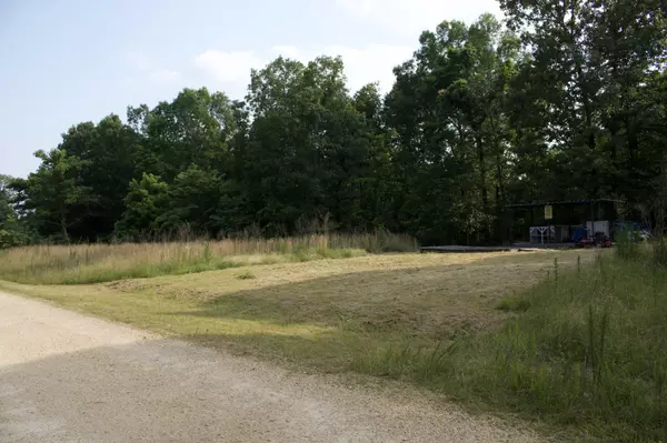 Mount Pleasant, TN 38474,156 Ellies Run