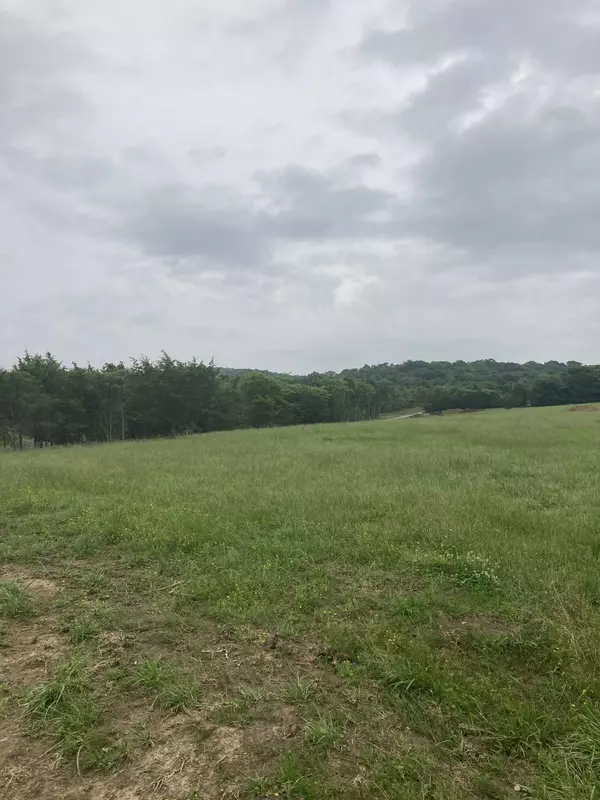 Rockvale, TN 37153,10629 Versailles Rd