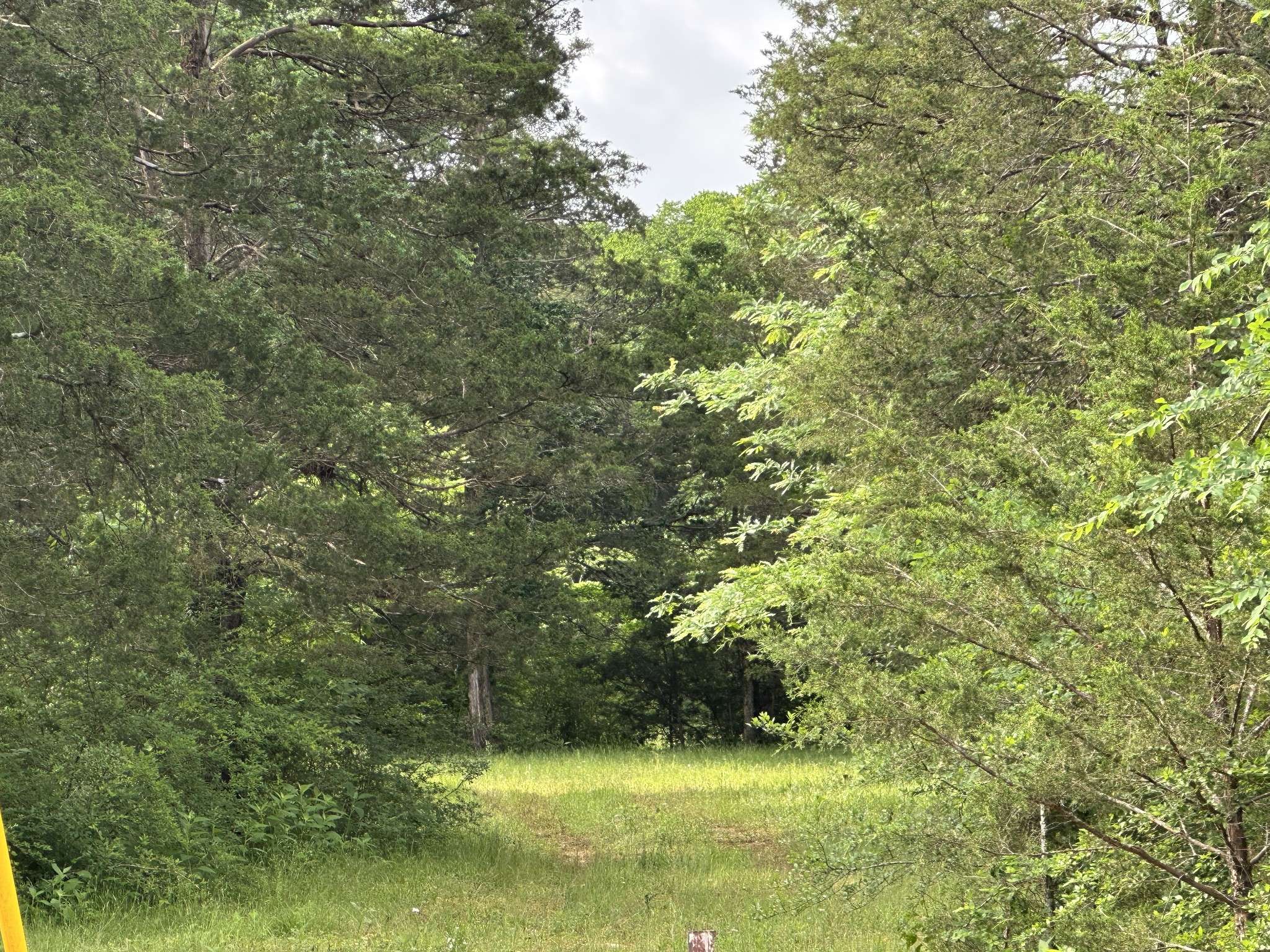 0 Pyles Rd, Chapel Hill, TN 37034