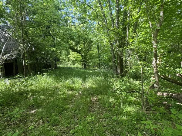 Indian Mound, TN 37079,0 Walker Rd