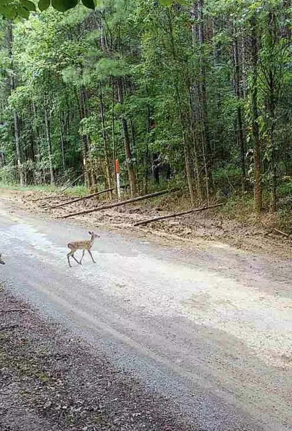 Dayton, TN 37321,4875 New Union Road