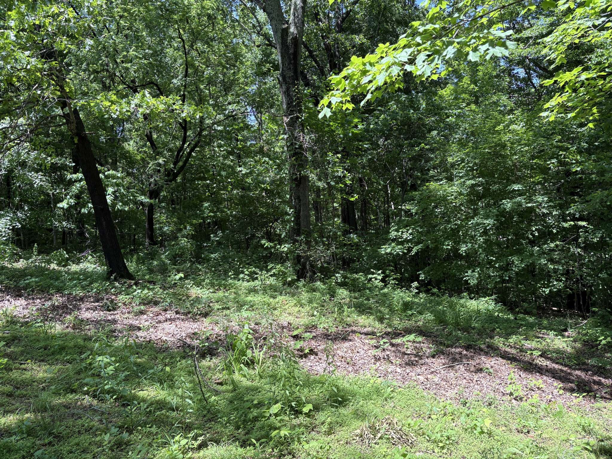 0 Cherokee Ct, Joelton, TN 37080