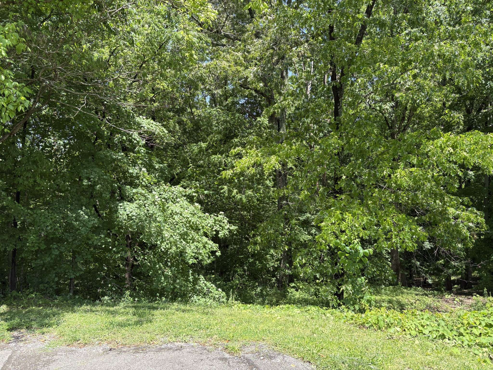 Joelton, TN 37080,0 Cherokee Ct