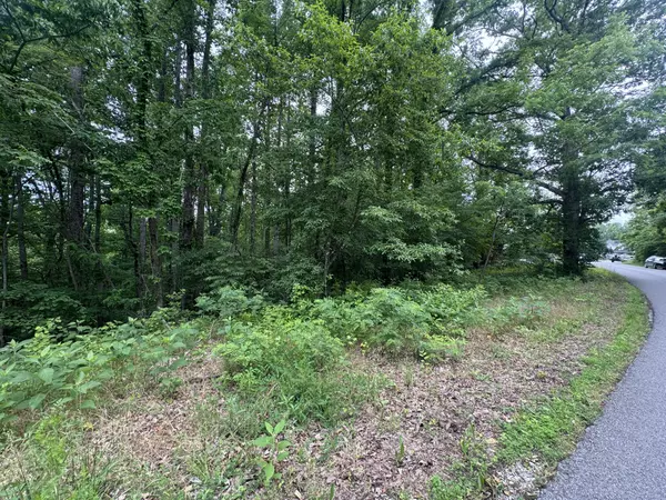 1 Coconut Rdg Rd, Smithville, TN 37166