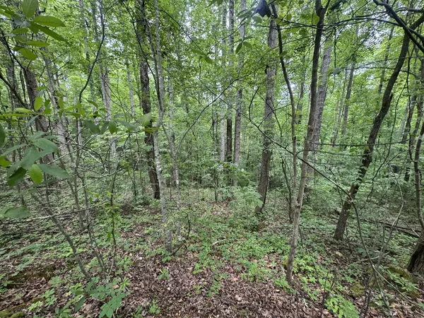 Smithville, TN 37166,1 Coconut Rdg Rd