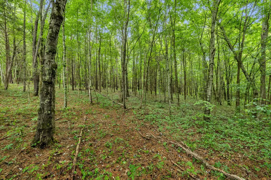 0 Eli Rd, Bon Aqua, TN 37025