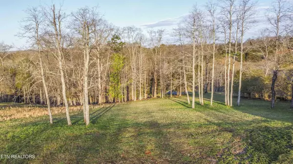 277 Serenity Drive, Harriman, TN 37748