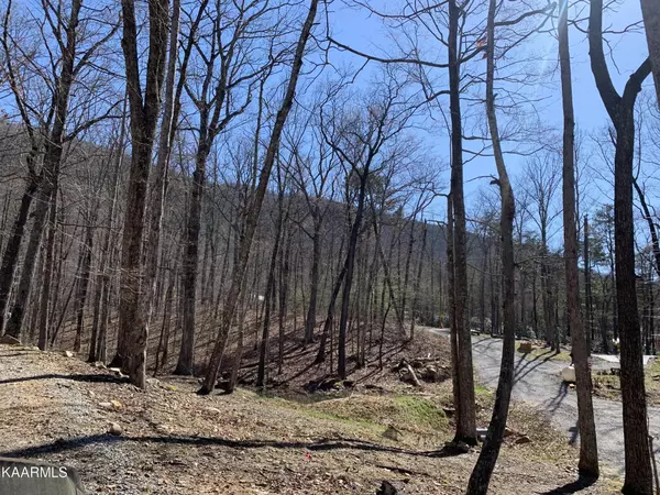 Seymour, TN 37865,0 Prettiest Sunset Way