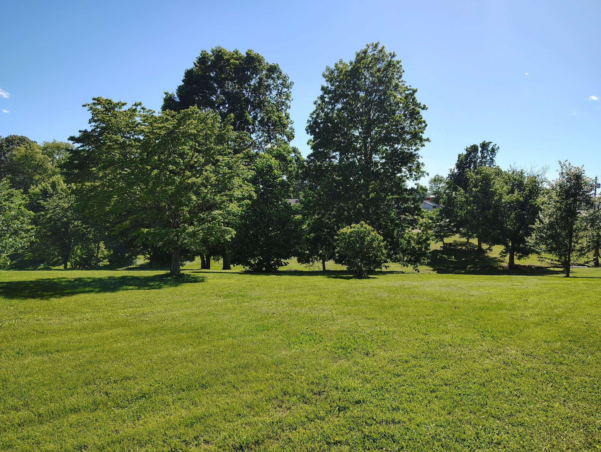 Lafayette, TN 37083,0 Short Street