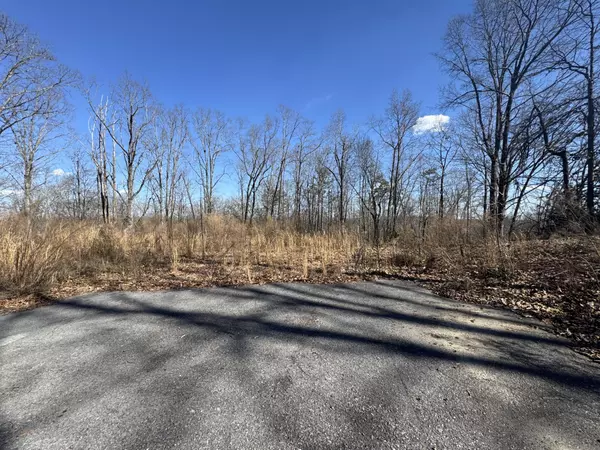 Cohutta, GA 30710,37 Village Drive