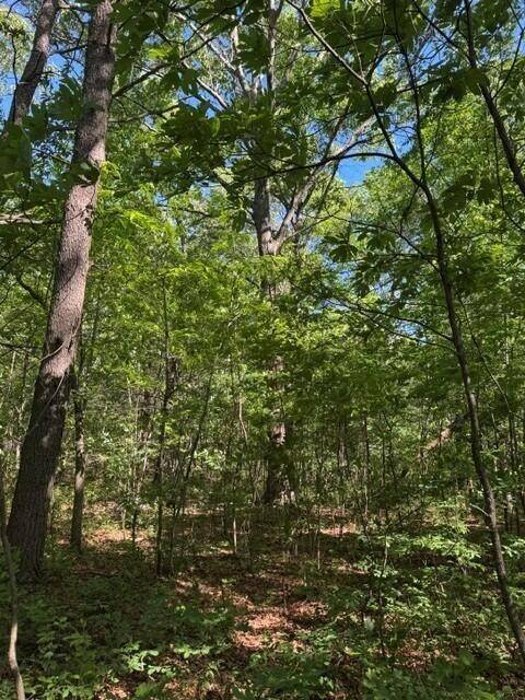 Tracy City, TN 37387,585 Genesis Lane