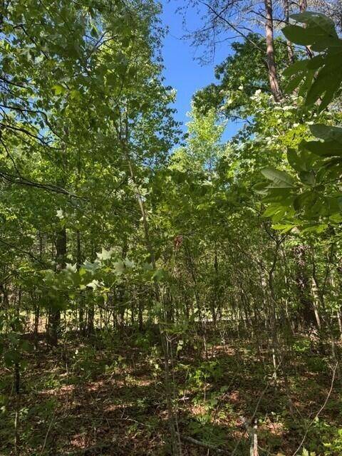 Tracy City, TN 37387,585 Genesis Lane