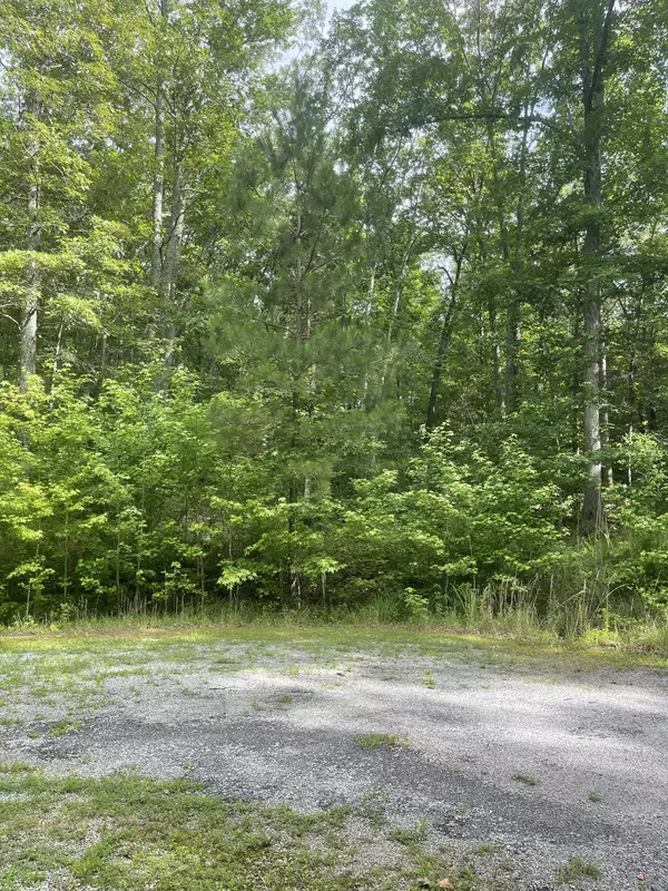 Cedar Grove, TN 38321,375 War Eagle Dr