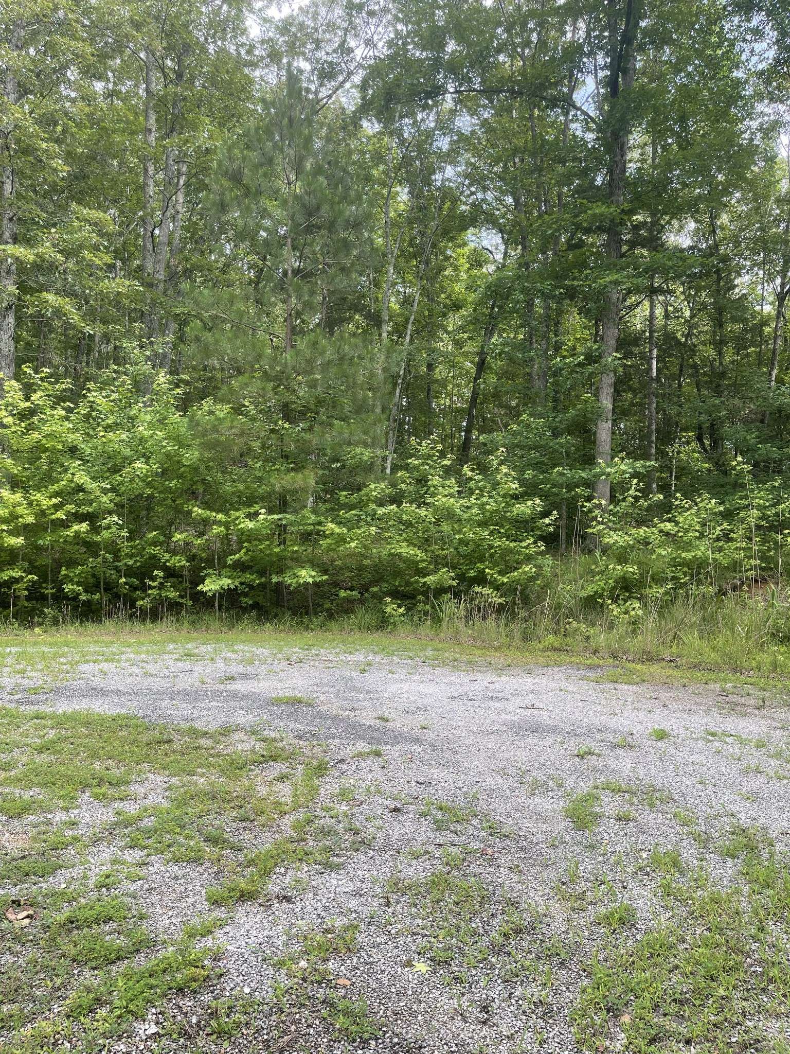 Cedar Grove, TN 38321,375 War Eagle Dr