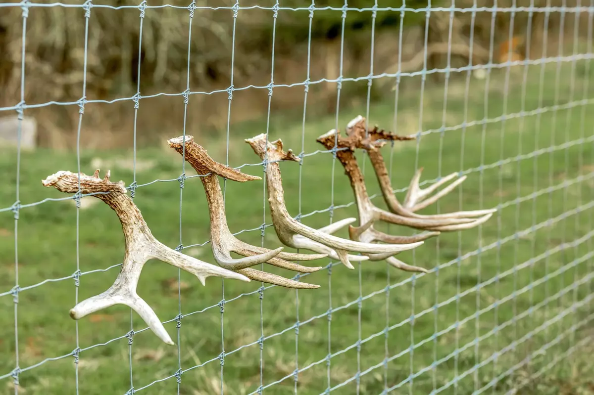 Belfast, TN 37019,0 Fishing Ford Rd