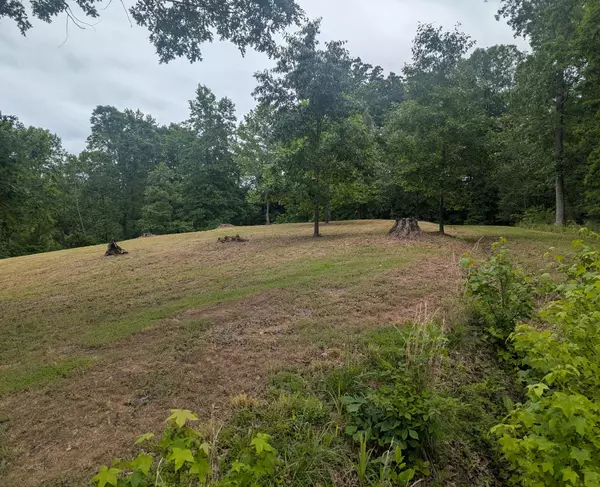 Cadiz, KY 42211,0 Partridge Point