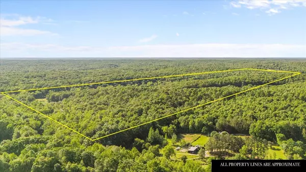 0 John Ross Hollow Road, Erin, TN 37061