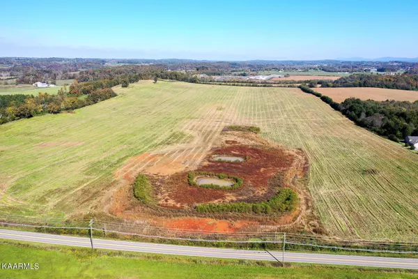 Greenback, TN 37742,0 Highway 95 South