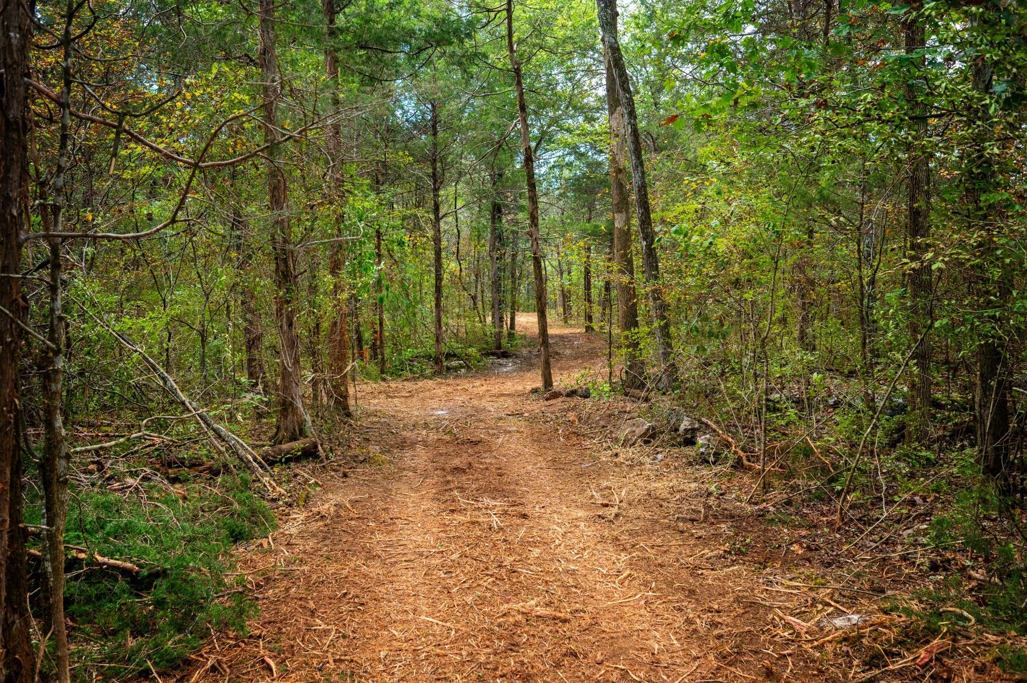 Lebanon, TN 37090,0 Hurricane Creek Rd