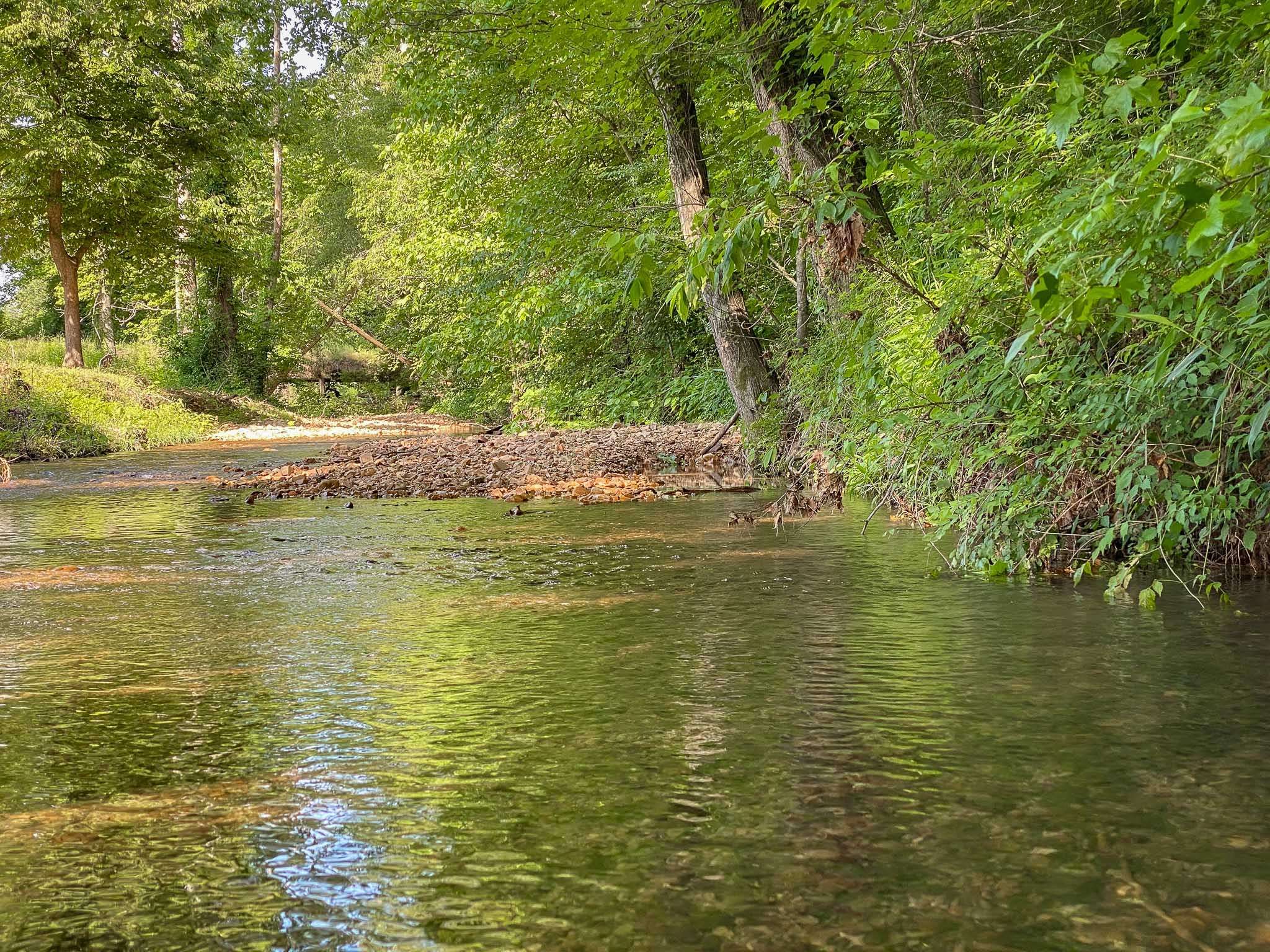 Waverly, TN 37185,6969 Cuba Landing Rd