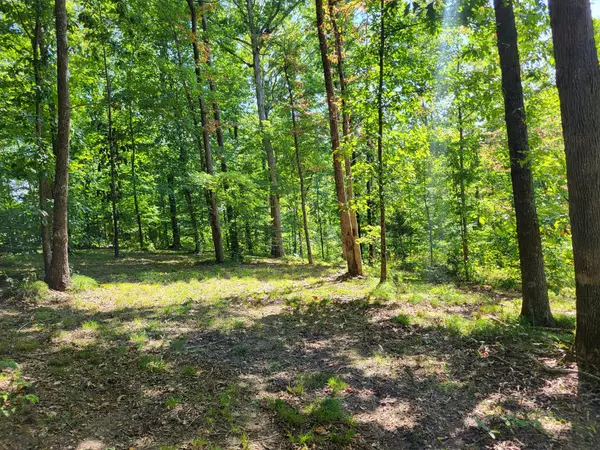 Ashland City, TN 37015,100 Waynoe Road
