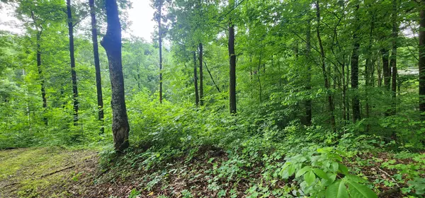 Smithville, TN 37166,0 Poplar Pl