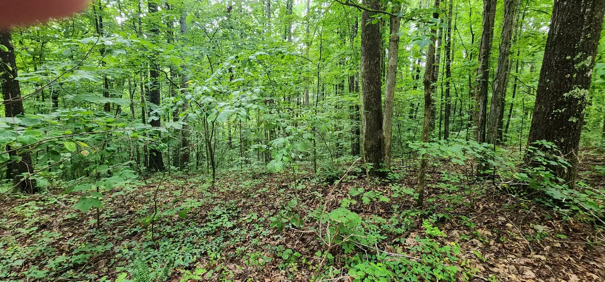 Smithville, TN 37166,0 Poplar Pl