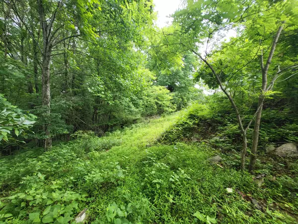 Goodlettsville, TN 37072,5913 Dividing Ridge Rd